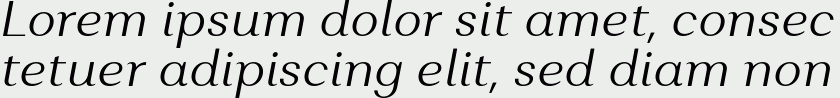 Alethia Pro Light Italic