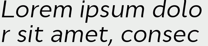 Cyntho Pro Italic