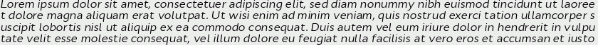 Cyntho Pro Italic