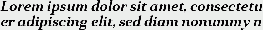 Anglecia Pro Text SemiBold Italic