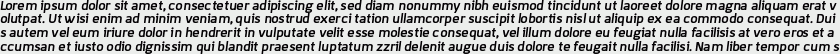 Korpo Sans bold italic