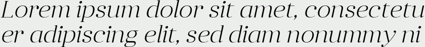 Anglecia Pro Display ExtraLight Italic