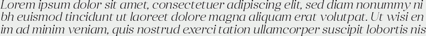 Anglecia Pro Display ExtraLight Italic