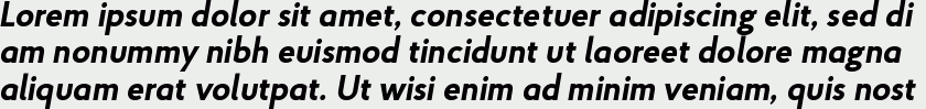 Proba Pro Bold Italic