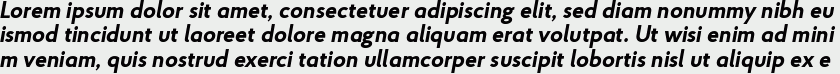 Proba Pro Bold Italic