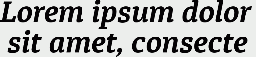 Diaria Pro Bold Italic