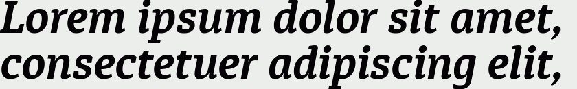 Diaria Pro Bold Italic