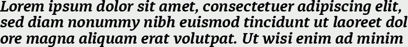 Diaria Pro Bold Italic