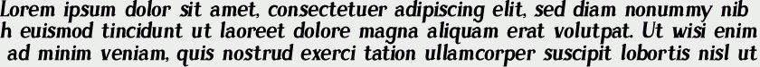 Sonten-Bold Italic