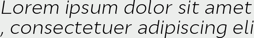 Cyntho Pro Light Italic