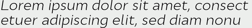 Cyntho Pro Light Italic