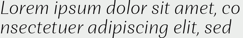 Orchidea Pro ExtraLight Italic