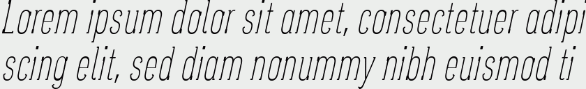 Oasaqueña Tall Italic