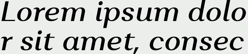 Alethia Pro Medium Italic