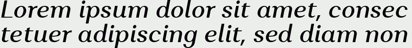 Alethia Pro Medium Italic