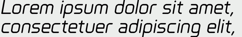 Primus Regular Italic