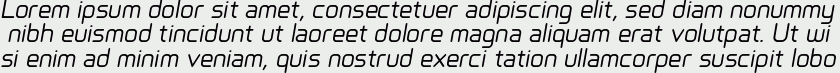 Primus Regular Italic