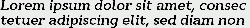 Cyntho Slab Pro SemiBold Italic