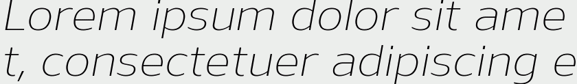 Nauman Light Italic