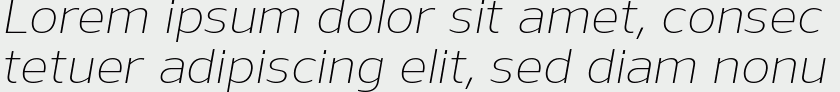 Nauman Light Italic