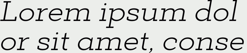 Deposit Pro Light Italic