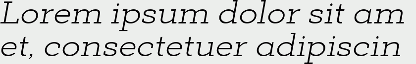 Deposit Pro Light Italic