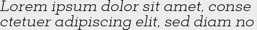 Deposit Pro Light Italic