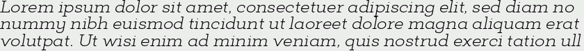 Deposit Pro Light Italic