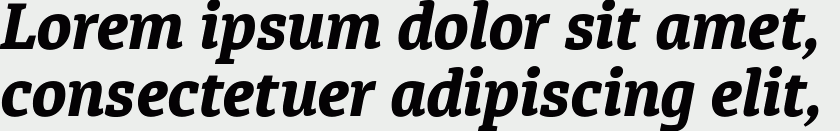 Diaria Pro ExtraBold Italic