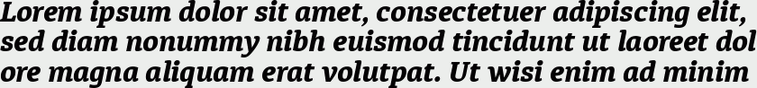 Diaria Pro ExtraBold Italic