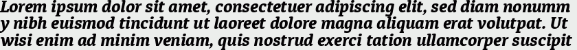Diaria Pro ExtraBold Italic