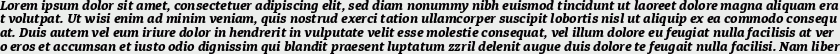 Diaria Pro ExtraBold Italic