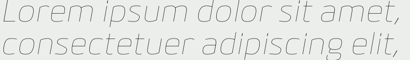 Bitner UltraLight Italic