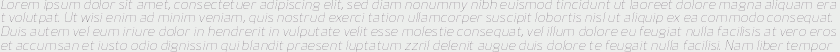 Bitner UltraLight Italic