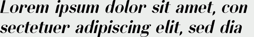 Lynx Italic