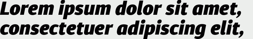 Diaria Sans Pro Black Italic