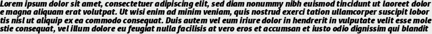 Diaria Sans Pro Black Italic