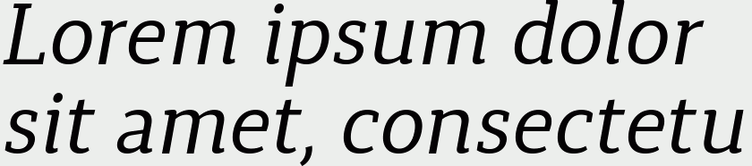Synerga Pro Italic