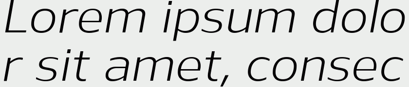 Nauman Italic