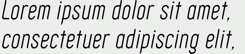 Zoo300 Light Italic