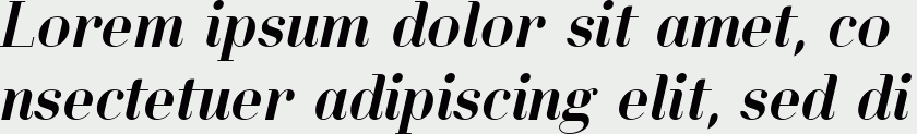 Lynx Serif Italic