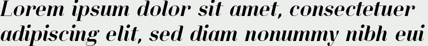 Lynx Serif Italic