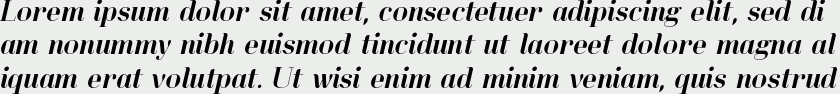 Lynx Serif Italic