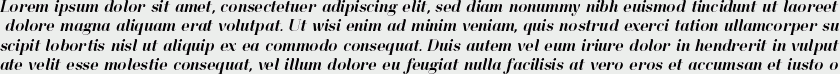 Lynx Serif Italic