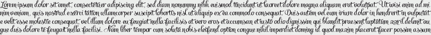 Salamander Script