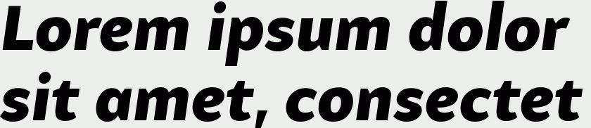 Samo Sans Pro Black Italic