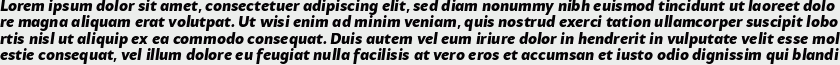 Samo Sans Pro Black Italic