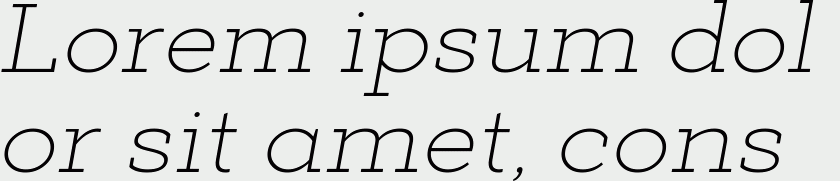 Deposit Pro ExtraLight Italic