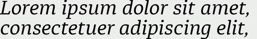 Diaria Pro Italic