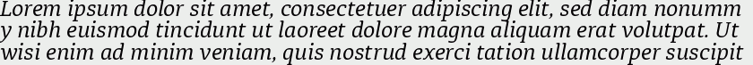 Diaria Pro Italic